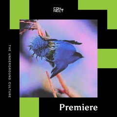 PREMIERE: Keith Holland - Classuda [ICONYC]