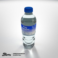 GROUFS B2B FOKKO - FOREIGN WATERS 001