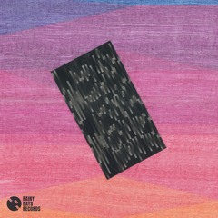 Rainy Days Records 6 (Anniversary Edition Vol.1) / RAINY020-1