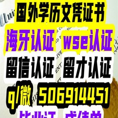#WSE认证 #留才认证 #Q微506914451英国安格利亚鲁斯金大学毕业证成绩单#diploma#录取通知书#毕业证书#offer#修改成绩单GPA