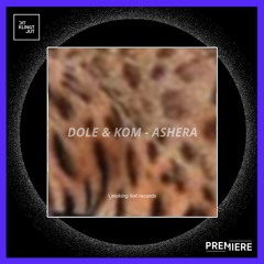 PREMIERE: Dole & Kom - Ashera  | Smoking Hot Records