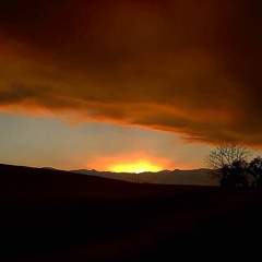 Final Day (Young Marble Giants)