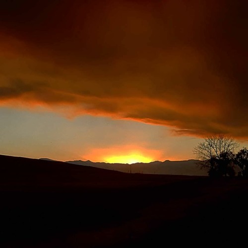 Final Day (Young Marble Giants)