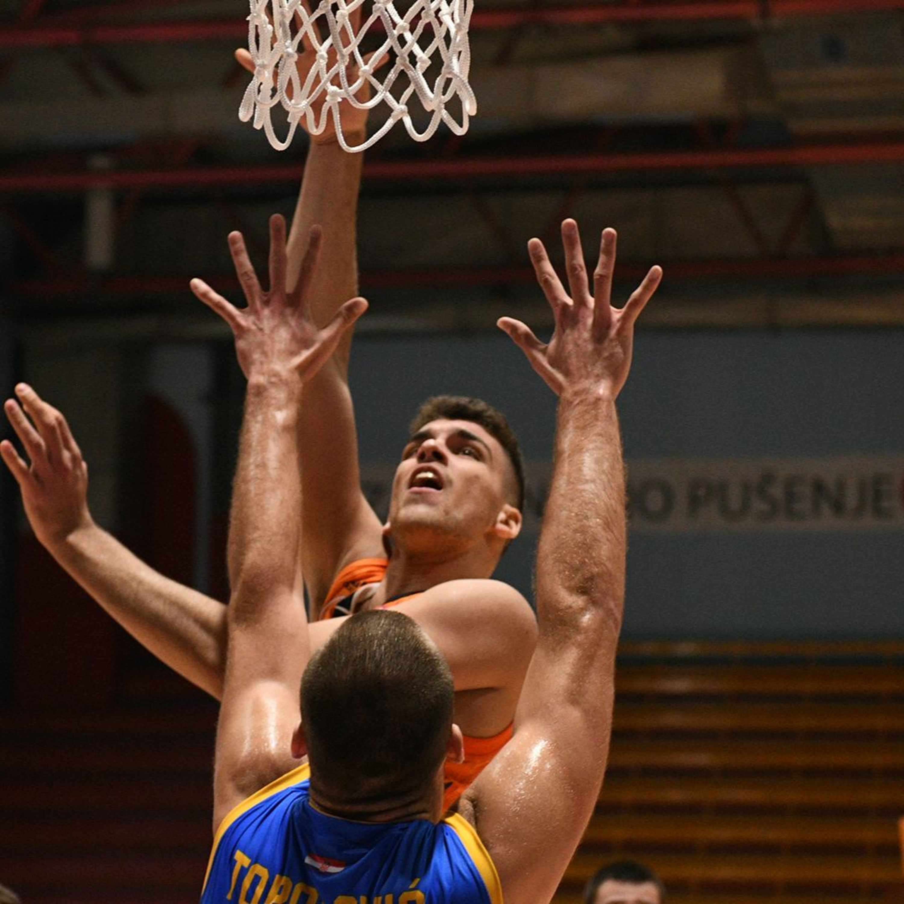 kkcedevita