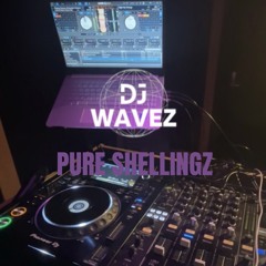 Pure Shellingz | Mixed By @DJ Wavez