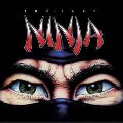 Last Ninja Acidizer Wilderness Remix