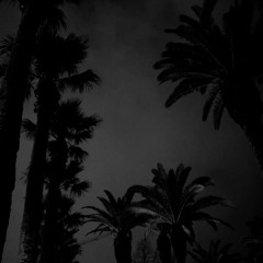 بين ايديا - Raven