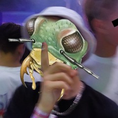 kever zn favoriete beukers