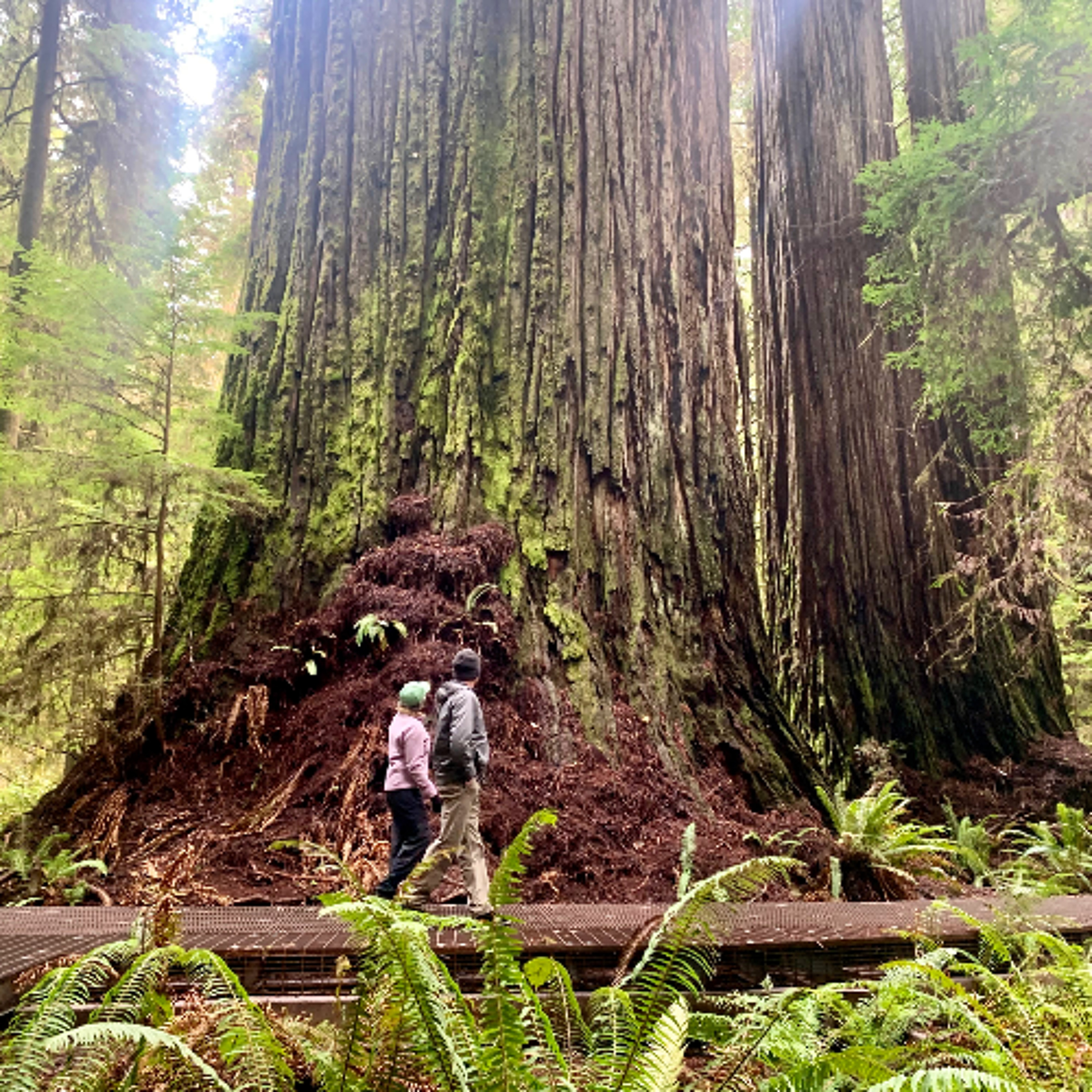 Explore Oregon Podcast: The state\'s most beautiful places and biggest issues