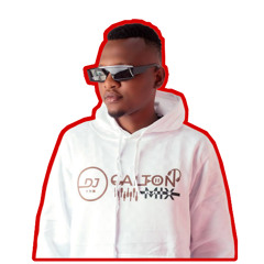 🔥 Vibez of the Sun (Afrobeat Mix by CaltonMix258) 🔥