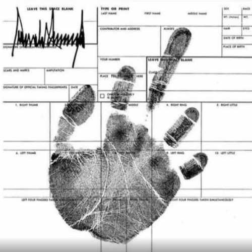 34 Felony Counts For Trump - Let The Circus Begin