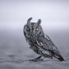 ~Mystiq ~😉 Have a FiNe Night/Day… Not everyone likes the…