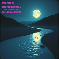The Essential Nature Of Consciousness