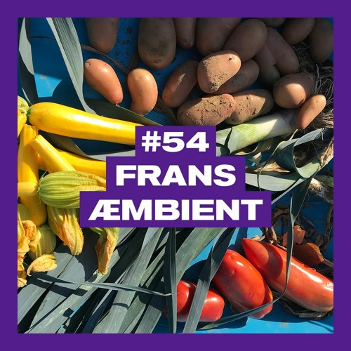 POSITIVE MESSAGES #54 : FRANS ÆMBIENT