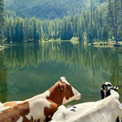 Udder (prod.dddjdooo, hellxrin)