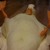Artwork for Duck me you ducking duck