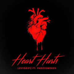 It’s over - Levydripz(feat paddysmokes)