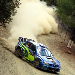 rally freestyle