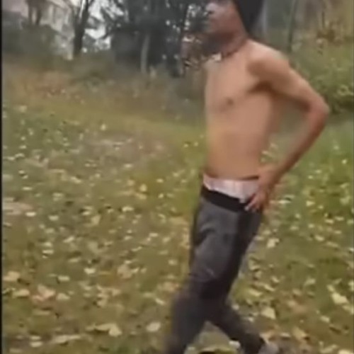 Nik Zeubi