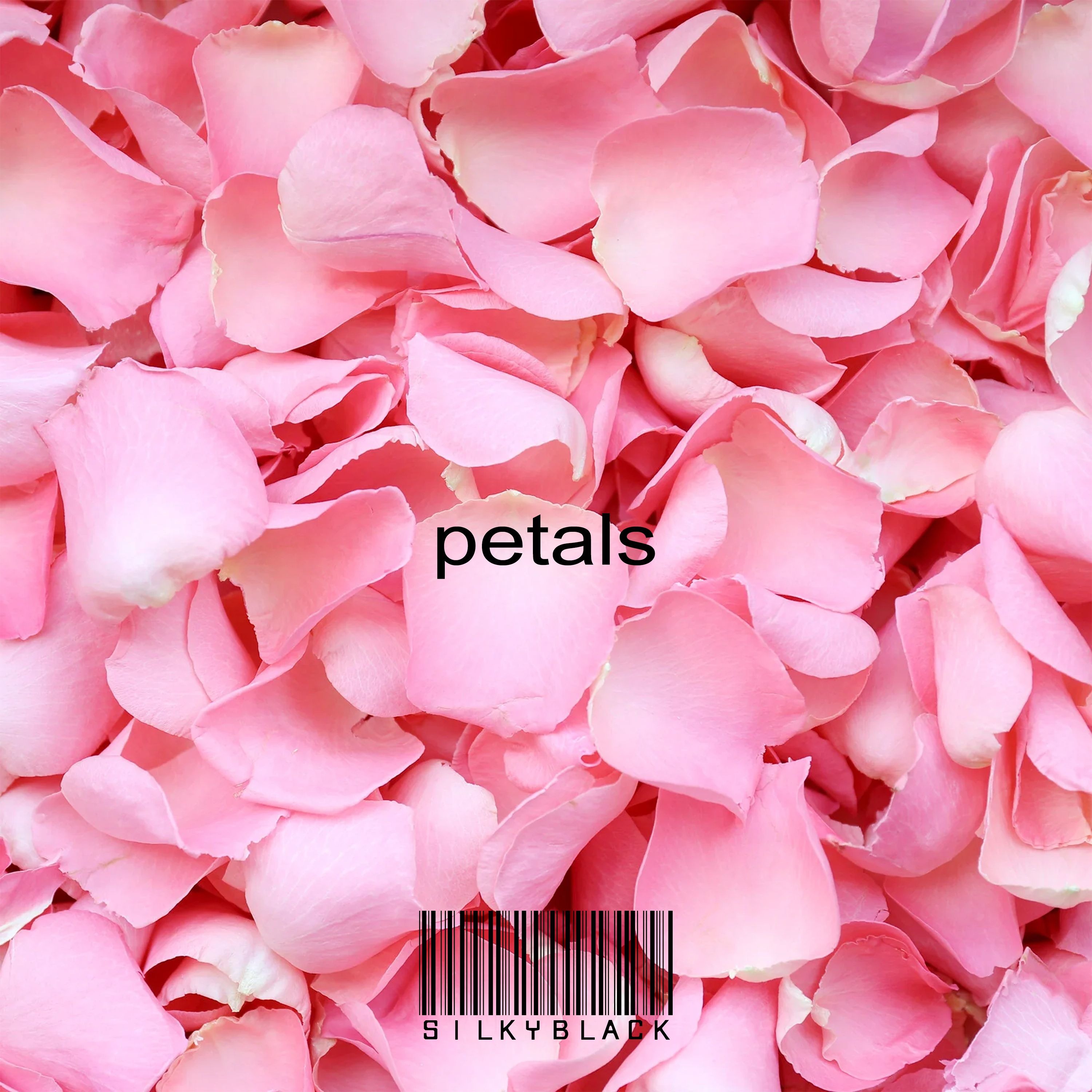 petals episode artwork