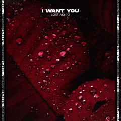Lost Astro - I Want You