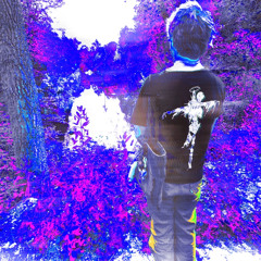 REEEEEE(nitecore) [vanguardthechamp]