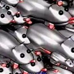 世界で一番いいネズミたちよ！