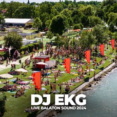 DJ EKG LIVE @ BALATON SOUND / EUROPA 2 STAGE