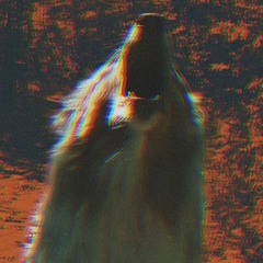 The Half Blind Dog - Me And My Dawg [Unfinished Version]