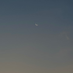 Joseb Herz - nmdsworld 1.04.25