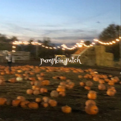 pumpkin patch [prod jolst]