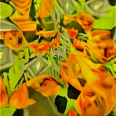 Mind Maze
