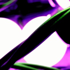 Imbibe [update]
