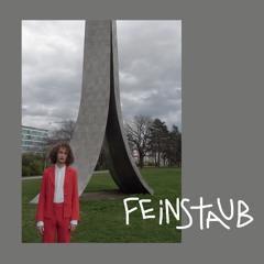 Feinstaub