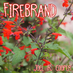 Firebrand