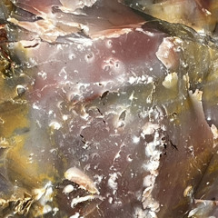 The Ninths w/ Edit Eternal (Too Quick)