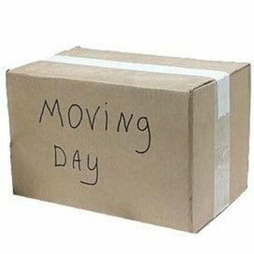 Stream Tally Hall The Bidding (Lyrics) "I've been sleeping in a