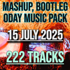 Download Free Mashup, Bootleg Pack, Afro House, EDM, Hip-Hop, Rap, Latin Best Music +Bonus Vol.31 - 222 Tracks
