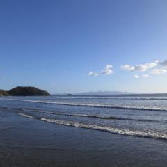 Wave to blue 27 11 2025 - Parole