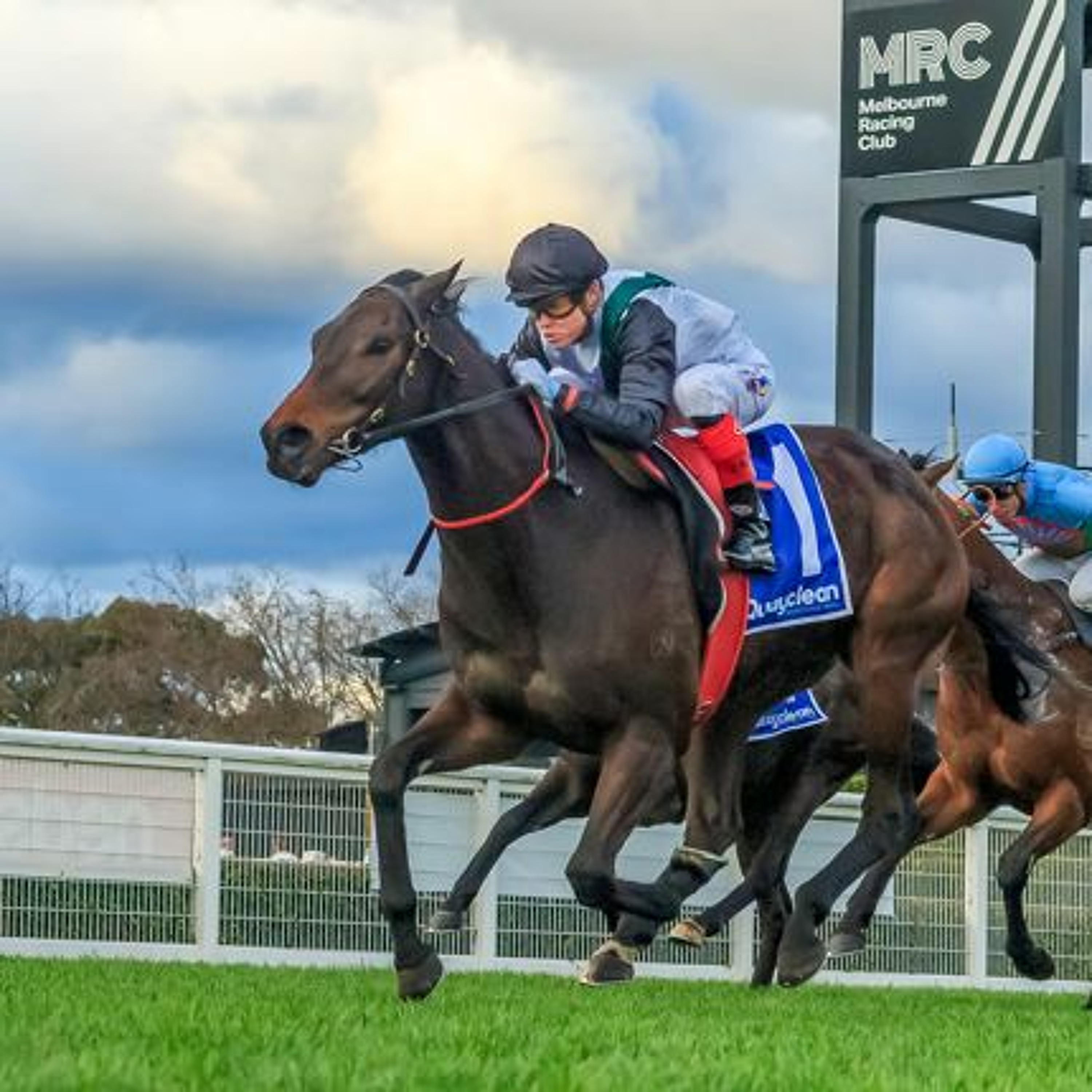 Memsie Stakes Punting Preview
