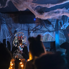 Lexa 1 Hour Goldmark Set