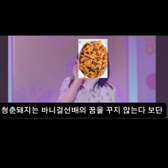 청춘돼지는  바니걸선배의 꿈을 꾸지 않는다 보단 어땠을까 리믹스