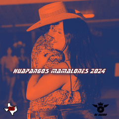 Huapangos Mamalones Mix 2024 x Conjunto Nuevo Amanecer x DISTINTO x Los Rugar