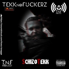 Schizotekk - TNF Podcast #363