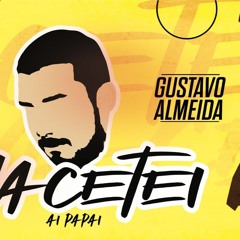MEGA FUNK MACETEI (GUSTAVO ALMEIDA)