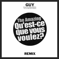 The Amazing - Qu'est Ce Que Vous Voulez ? (Guy Wander Remix) [FREE DOWNLAOD]