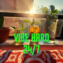 Vibe Hard 24/7
