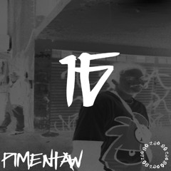 BR160 RADIO #16 [PIMENTAW]