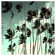 Tradewinds