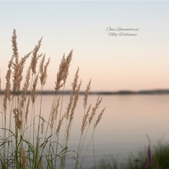 Groundswell